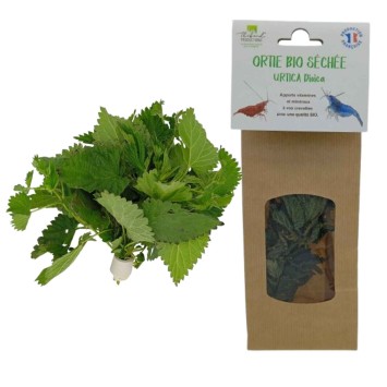 ORTIE BIO URTICA Dioica