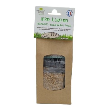 Kit barquette Herbe à Chat à Semer Blé Bio