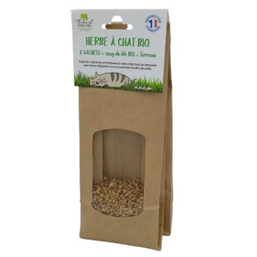 Recharge complète Kit barquette Herbe à Chat à Semer Blé Bio