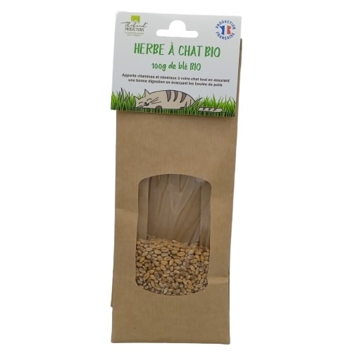 Recharge Blé Bio Kit barquette Herbe à Chat à Semer