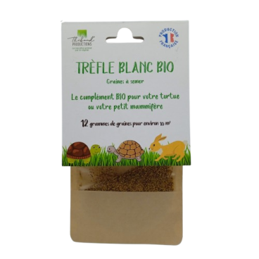 Graines de Trèfle Blanc Bio à semer Sachet de 12g