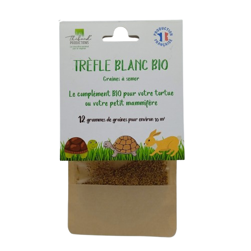 Graines de Trèfle Blanc Bio à semer Sachet de 12g