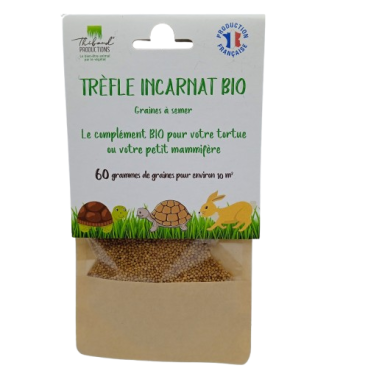 Graines de Trèfle Incarnat Bio à semer Sachet de 60g