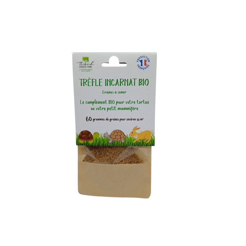 Graines de Trèfle Incarnat Bio à semer Sachet de 60g