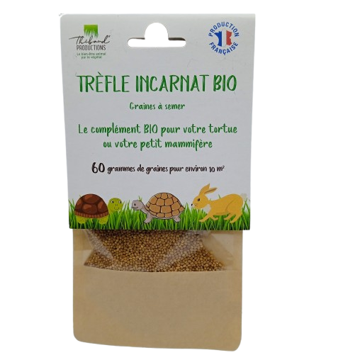 Graines de Trèfle Incarnat Bio à semer Sachet de 60g
