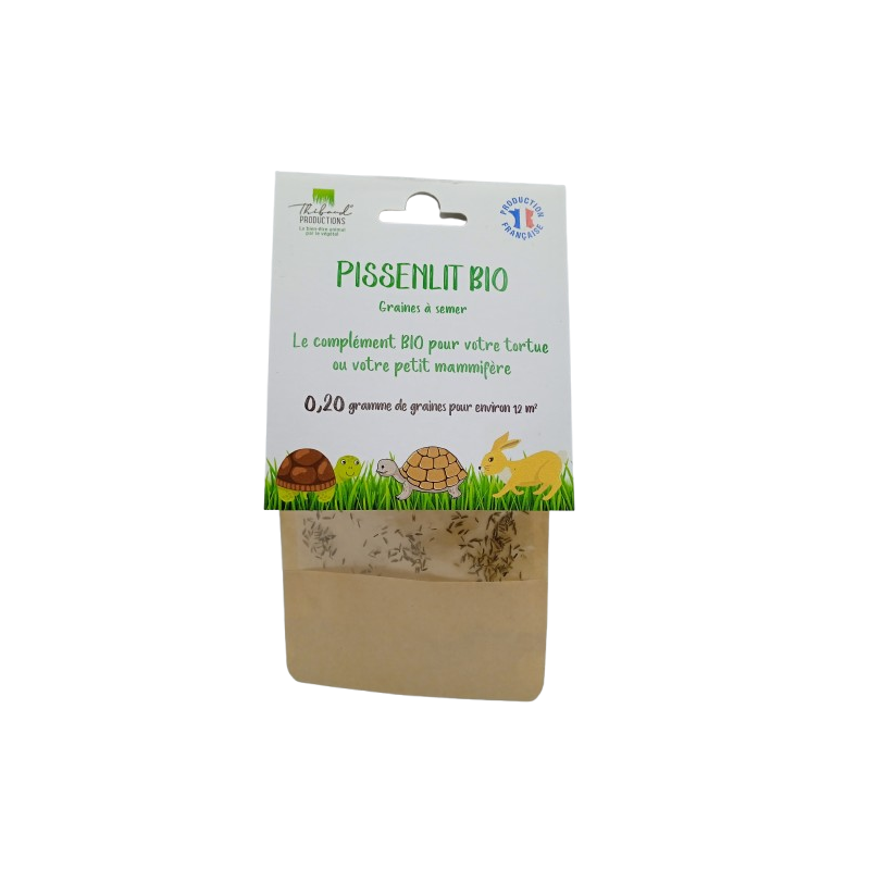 Graines de Pissenlit Bio à semer Sachet de 0.20g