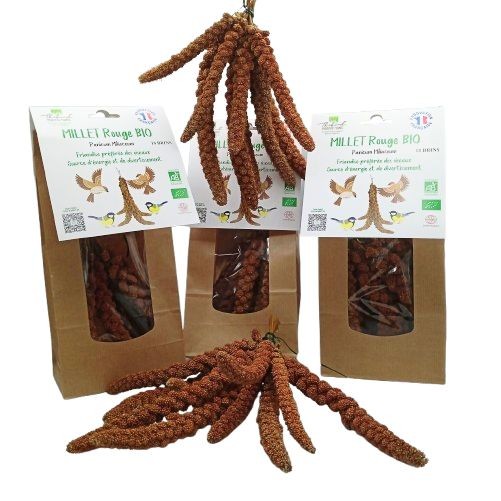 Millet Bio Sachet de 10 brins