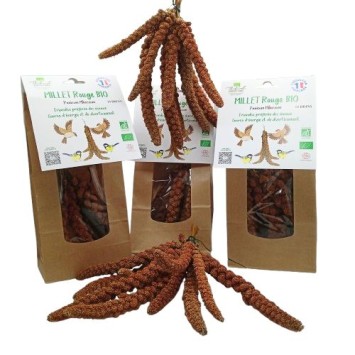 Millet Bio Sachet de 10 brins