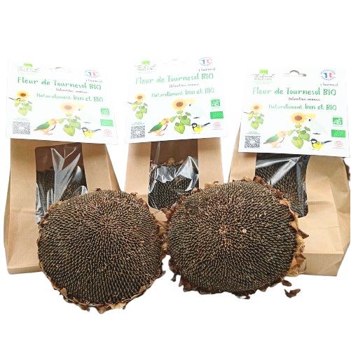 Tête de Tournesol Bio Sachet de 1 tête