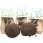 Tête de Tournesol Bio Sachet de 1 tête