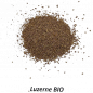Graines de Luzerne Bio à semer Sachet de 35g