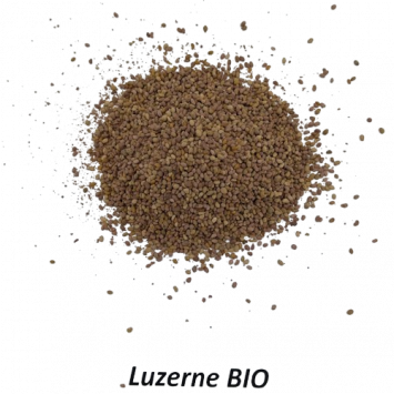 Graines de Luzerne Bio à semer Sachet de 35g