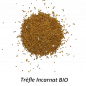 Graines de Trèfle Incarnat Bio à semer Sachet de 60g