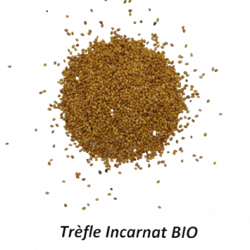 Graines de Trèfle Incarnat Bio à semer Sachet de 60g