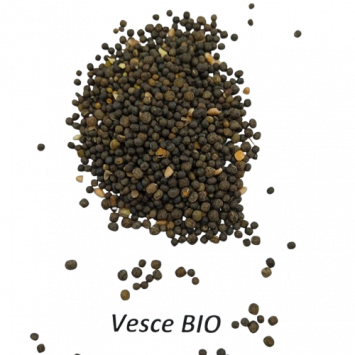 Graines de Vesce Bio à semer Sachet de 90g