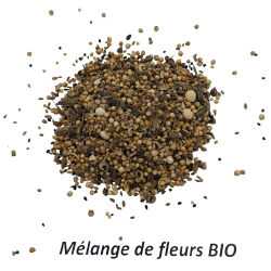 Graines de Mélange de Fleurs Bio à semer Sachet de 9g