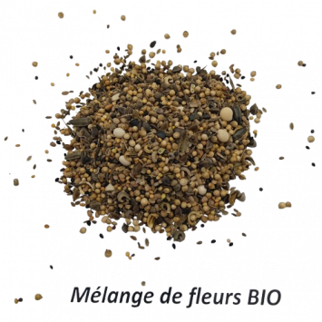 Graines de Mélange de Fleurs Bio à semer Sachet de 9g