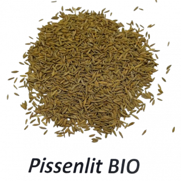 Graines de Pissenlit Bio à semer Sachet de 0.20g