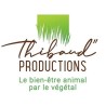 Thibaud Productions