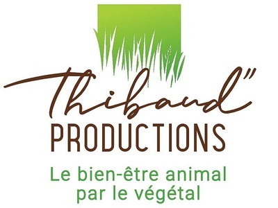 Thibaud Productions