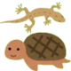 Tortue et Reptiles